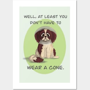 Cone of Shame Posters and Art